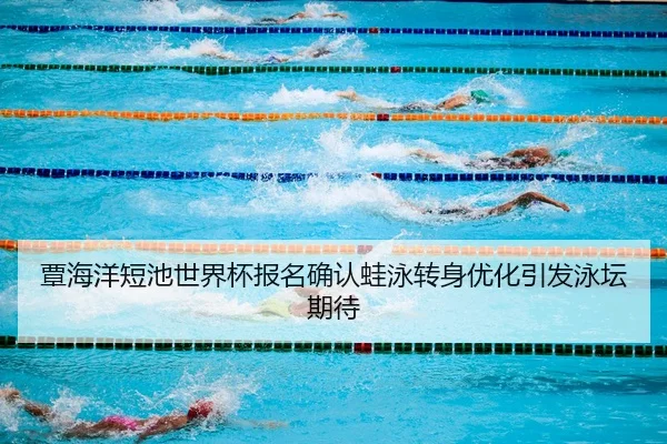 覃海洋短池世界杯报名确认蛙泳转身优化引发泳坛期待